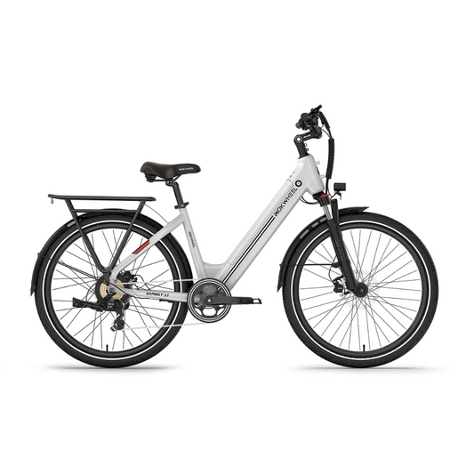 Mokwheel Asphalt Step Thru Rental